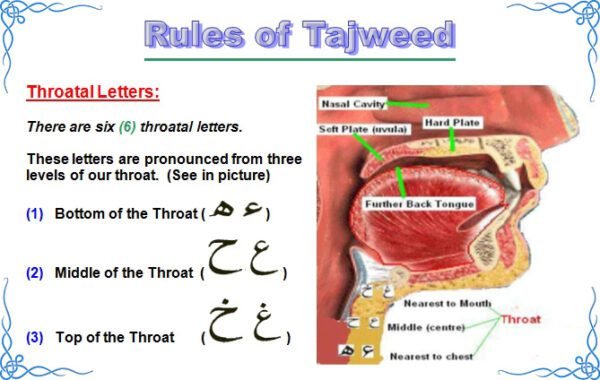 Rules of Tajweed Course