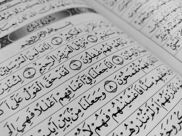 Quran Reading Course Online